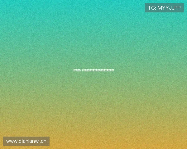 鲨鱼搜索2.0永久免费版全面升级体验极速精准搜索功能